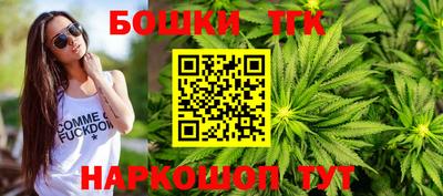 тгк Обь