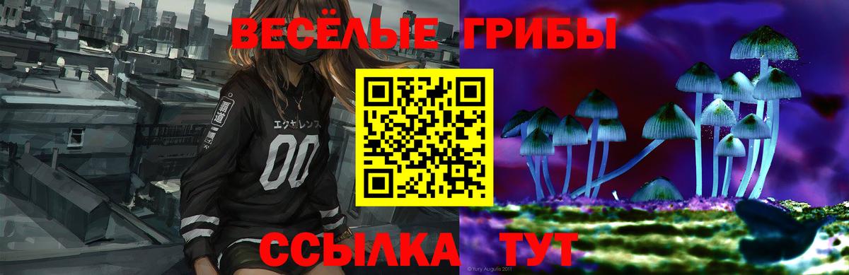 Чусовой  Псилоцибиновые грибы Psilocybe  Вход с VPN 